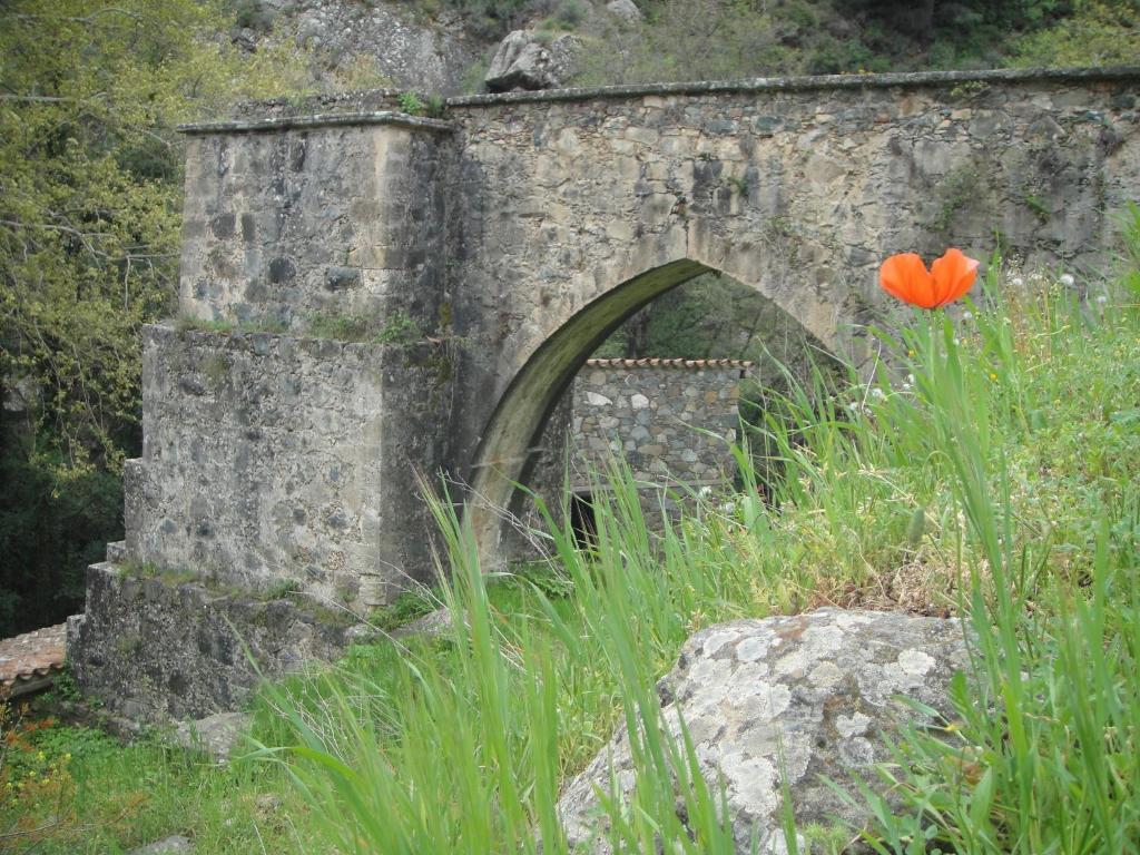 Archontiko I Misirlou Guest House Kalopanagiotis Luaran gambar